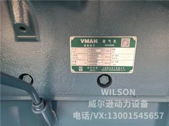 300KW V-MAN沼氣發(fā)電機(jī)組